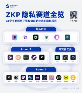 Web3 隐私最优解？ZKP 赛道隐私项目全览